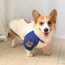 現貨熱銷-春秋可拆洗狗窩四季通用小中型犬網紅貓咪窩泰迪比熊狗狗寵物貓窩真真啊 歷史價格詳細信息