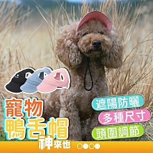 寵物外出 豆豆雜貨鋪背包 後背包 大容量雙肩背包寵物太空艙透氣 貓包便攜貓咪 狗包 歷史價格詳細信息