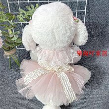 貓咪粉色牽引繩布偶貓外出防掙脫防亂竄高顏值小翅膀胸背帶遛貓繩 歷史價格詳細信息