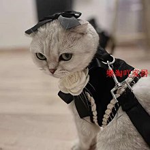 遛狗繩寵物貓咪狗狗防掙脫胸背帶牽引遛狗繩背心式大中小型犬舒適不勒脖 免運 歷史價格詳細信息