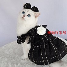 【白色款】寵物吹風機支架 懶人吹風機支架 多功能吹風機支架 美髮吹風機支架 吹風機支架  桌上型吹風機架 吹毛神器 歷史價格詳細信息