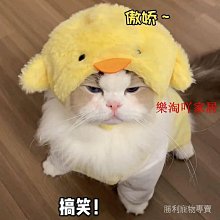 貓咪帽子獅子頭套豬八戒小熊貓帽子可愛保暖冬季裝飾變裝帽寵物帽 歷史價格詳細信息