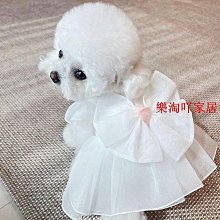 夏季薄款狗狗寵物衣服雪納瑞馬爾濟斯小型犬比熊泰迪貓咪衣服可愛 歷史價格詳細信息