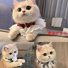 薄荷衕款 貓咪口水巾 名媛風 貓咪項圈 貓咪狗狗圍脖 寵物口水巾 寵物飾品 寵物圍脖 貓項圈 價格比較,價格查詢,歷史價格詳細信息