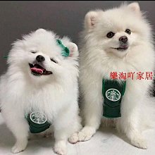 可愛星貓克貓咪圍脖 INS韓國狗狗圍脖 狗狗 圍兜 圍裙 寵物口水巾 狗衣服 貓衣服  寵物服裝 狗領巾 貓咪領巾 歷史價格詳細信息