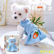 寵物衣服寵物衣服狗狗服飾中小型犬春夏新品娃娃領裙公主愛美麗裙子紅星星 歷史價格詳細信息