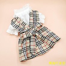 狗狗胸揹帶  新款背心式寵物胸揹帶反光透氣遛喵繩狗繩 狗狗牽引繩 歷史價格詳細信息