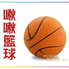 寵物專用超聲波潔牙器去牙結石牙菌斑洗牙神器家用全自動美牙儀 歷史價格詳細信息