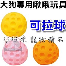 汪旺來【可自取】Pet Village鼠兔用綜合熱狗堡造型磨牙餅120g寵物魔法村磨牙點心，兔子/天竺鼠/龍貓/倉鼠零食 歷史價格詳細信息