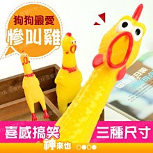 寵物發聲玩具 會叫的老鼠 老鼠 貓玩具 狗玩具 毛掌櫃 maoookeeper 歷史價格詳細信息