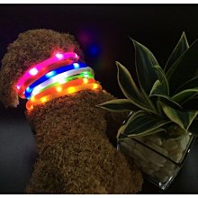 USB寵物LED發光項圈 歷史價格詳細信息