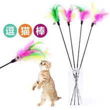 逗貓棒 羽毛鈴鐺球逗貓棒 貓咪玩具 貓玩具 彈力繩 毛球 鈴鐺 羽毛 寵物用品 寵物玩具 逗貓 喵星人 貓主子 貓奴必備 歷史價格詳細信息
