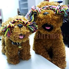 棉繩   耐咬潔牙各種尺寸皆有-適合小型犬/小中型犬/中型犬/中大型犬 歷史價格詳細信息