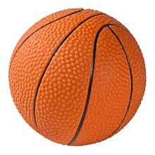 LEO 運動場 塑膠 抗憂鬱益智舒壓狗玩具 狗玩伴 嗶嗶叫響笛發聲玩具TY-0102 大足球（球徑9.5公分）每個70元 歷史價格詳細信息