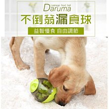 寵物玩具球【慢慢寵】 歷史價格詳細信息