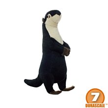 美國Mighty Grip漆皮護踝.防滑.護腳背 鋼管舞健身舞蹈 歷史價格詳細信息