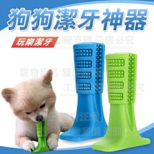 狗狗潔牙神器 狗牙刷 狗潔牙 寵物牙刷 潔牙玩具 寵物狗狗潔牙玩具-中號 台灣現貨 歷史價格詳細信息
