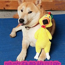 『梨花聲』為晚s925純銀花朵開口戒指女款食指小眾設計復古風禮物 歷史價格詳細信息