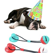 【MAAN 美髮精選】老薑王一隻黑 生薑配方 多段發色 一洗遮蓋白髮 歷史價格詳細信息