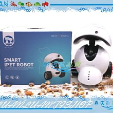 適用美人魚娃娃人魚公主娃娃蝴蝶芭比手工玩偶婚紗兒童仿真玩 歷史價格詳細信息