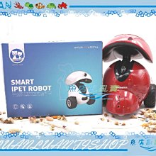 適用美人魚娃娃人魚公主娃娃蝴蝶芭比手工玩偶婚紗兒童仿真玩 歷史價格詳細信息