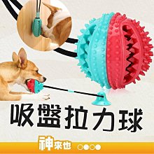 發明神話郵票實寄封 歷史價格詳細信息