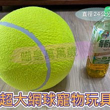 簽名網球9.5寸充氣大網球 寵物大網球狗狗充氣大網球十倍快樂網球 歷史價格詳細信息