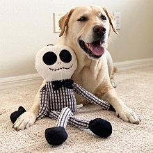 Ω永和喵吉汪Ω-美國STARMARK星記 妙想球 附繩【L號】中大型犬適用 材質輕盈 浮水玩具 拋接互動 歷史價格詳細信息