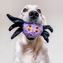 美國 Patchwork  狗寵物絨毛玩具 海洋系列 動物 布偶 小蘑菇 6吋 拉扯 啾啾聲 狗玩具 歷史價格詳細信息