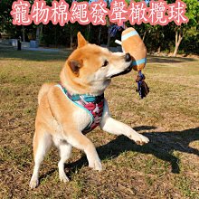 狗狗磨牙玩具發聲怪叫狗狗解悶神器小狗玩具耐咬磨牙小型犬泰迪 歷史價格詳細信息