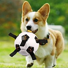 寵物款狗狗彈力牽引繩 大型犬寵物牽引帶胸背帶尼龍狗繩牽引繩 歷史價格詳細信息