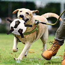 寵物帶頂狗圍欄貓籠子小型犬泰迪博美狗塑料柵欄法斗護欄江桃溪 歷史價格詳細信息
