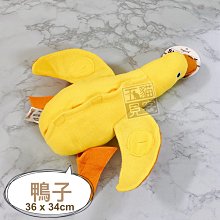 鴨子嗅聞玩具 發聲玩具 訓練嗅覺找東西打發時間 歷史價格詳細信息