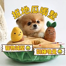 地面下有什麼呢？：在你看不見的地底下，還有一個神奇的世界！ 歷史價格詳細信息