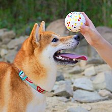 橄欖球遊戲機成人投籃機康體娛樂遊藝設備投式遊戲機電玩設備 歷史價格詳細信息