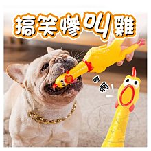 【憶馨嚴選批發】O,Bli! 噢，比利！軟式潔牙骨100g 狗零食 Q彈口感 益生菌添加 軟性潔牙骨【QI37】 歷史價格詳細信息