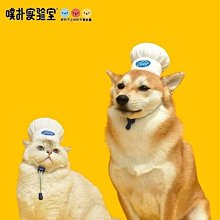 『伊果~現貨秒出』挑戰最便宜 狗狗發聲玩具 狗玩具 磨牙玩具 耐咬解悶 花生 玉米 耐咬玩具 啾啾玩具 你丟我撿 歷史價格詳細信息