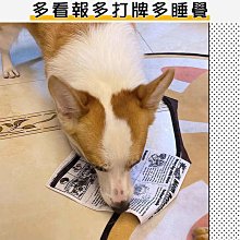 狗玩具耐咬寵物解悶神器小狗磨牙發聲益智小型犬比熊柯基泰迪玩具 歷史價格詳細信息