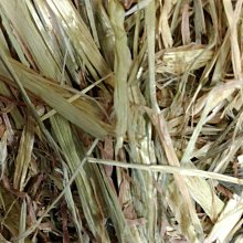 S&B香辣油 (110g) 歷史價格詳細信息