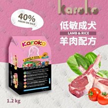 (送贈品)PX5000/PX-5000 磯投捲線器 EVO 海力士~彤彤釣具~【捲線器】 歷史價格詳細信息