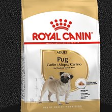 法國戈蘭黛輕奢品牌2023新款後揹包潮流揹包女大容量防盜旅行書包 歷史價格詳細信息