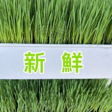 小花貓隊長低敏凍乾貓糧 貓飼料 -鮭魚+雙鮮凍乾(鮭魚+鱉蛋) 10LB(4.5kg) - 全齡貓 歷史價格詳細信息