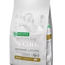 新包裝【阿齊】路加堤 ZUGATTI 擎潔隊 油泥清潔潤滑油 Engine Flush 歷史價格詳細信息