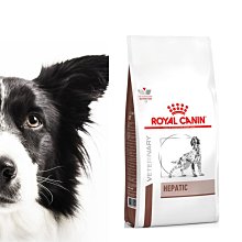 《無法超取》小顆粒系列 6551動物園/大盒【BanBao邦寶積木楚崴】 歷史價格詳細信息