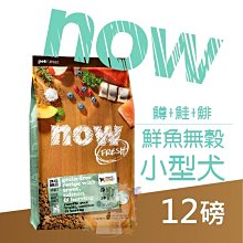 ×貓狗衛星×臭味滾 天使貓砂 無香除臭瞬吸礦砂 4kg 歷史價格詳細信息