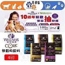 【幸運貓】 2024中秋節寵物飾品 月餅玉兔造型 寵物頸飾 寵物配飾 貓配飾 狗配飾 歷史價格詳細信息