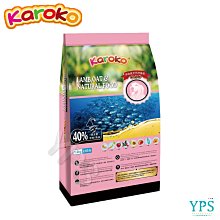 KAROKO 渴樂果 成貓化毛 淚腺雪白 貓飼料 1.2KG 成貓 天然 雞肉 魚油 送贈品 歷史價格詳細信息