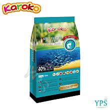 KAROKO 渴樂果 雞肉+鮭魚 成貓化毛配方飼料 1.2kg/8.8kg 室內貓 運動量大 成貓 》送贈品 歷史價格詳細信息