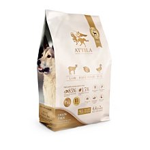 阿提拉 全面戰爭 中文版 PC電腦單機游戲光盤 光碟 策略 歷史價格詳細信息