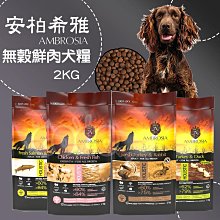 COCO《迷你型犬》EZYDOG尼歐項圈XS號(丹寧牛仔布)C09XSD舒適狗項圈/反光條頸圈好清洗 歷史價格詳細信息